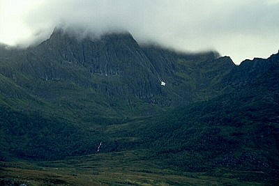 24-MerfGrnW