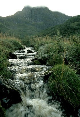 28-MefWasfall