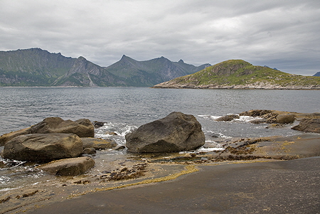 IMG_9200