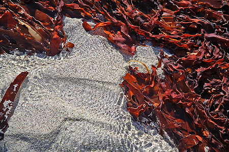 Norge 2007 PF 10_017 Kopie