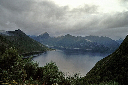 Senja005