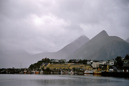 Senja006