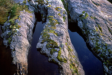 Senja018