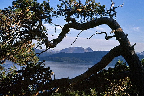 Senja030