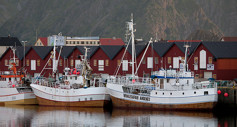 Andenes-10