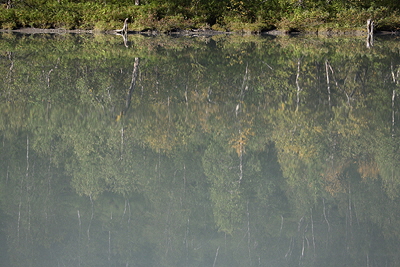 Nor_20060822_026