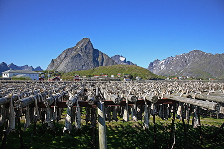 Norge 2007 PF 12_044