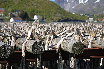 Norge 2007 PF 12_046